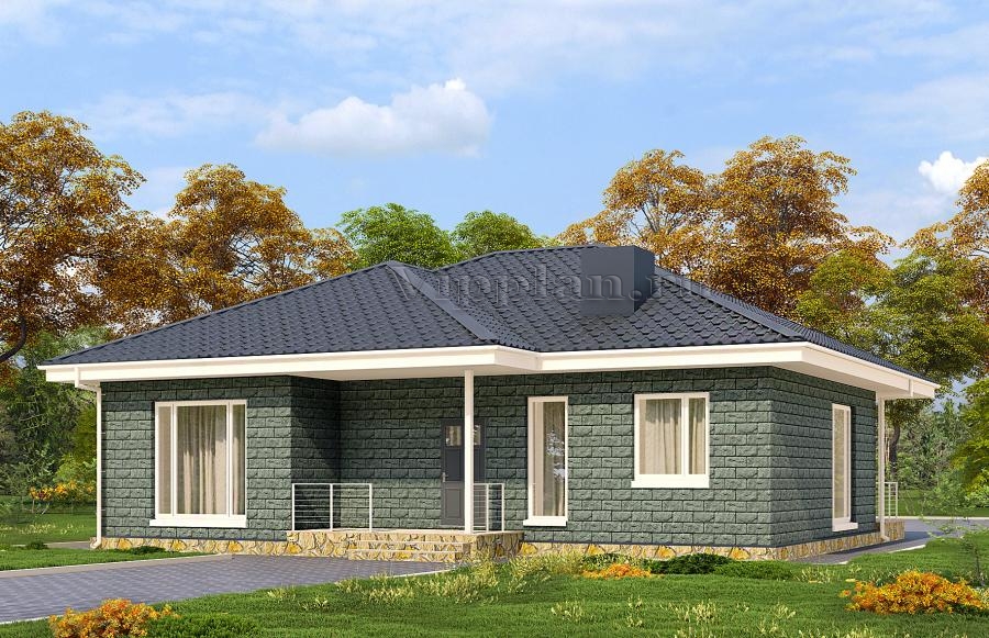 Одноэтажный дом с тремя спальнями и террасой